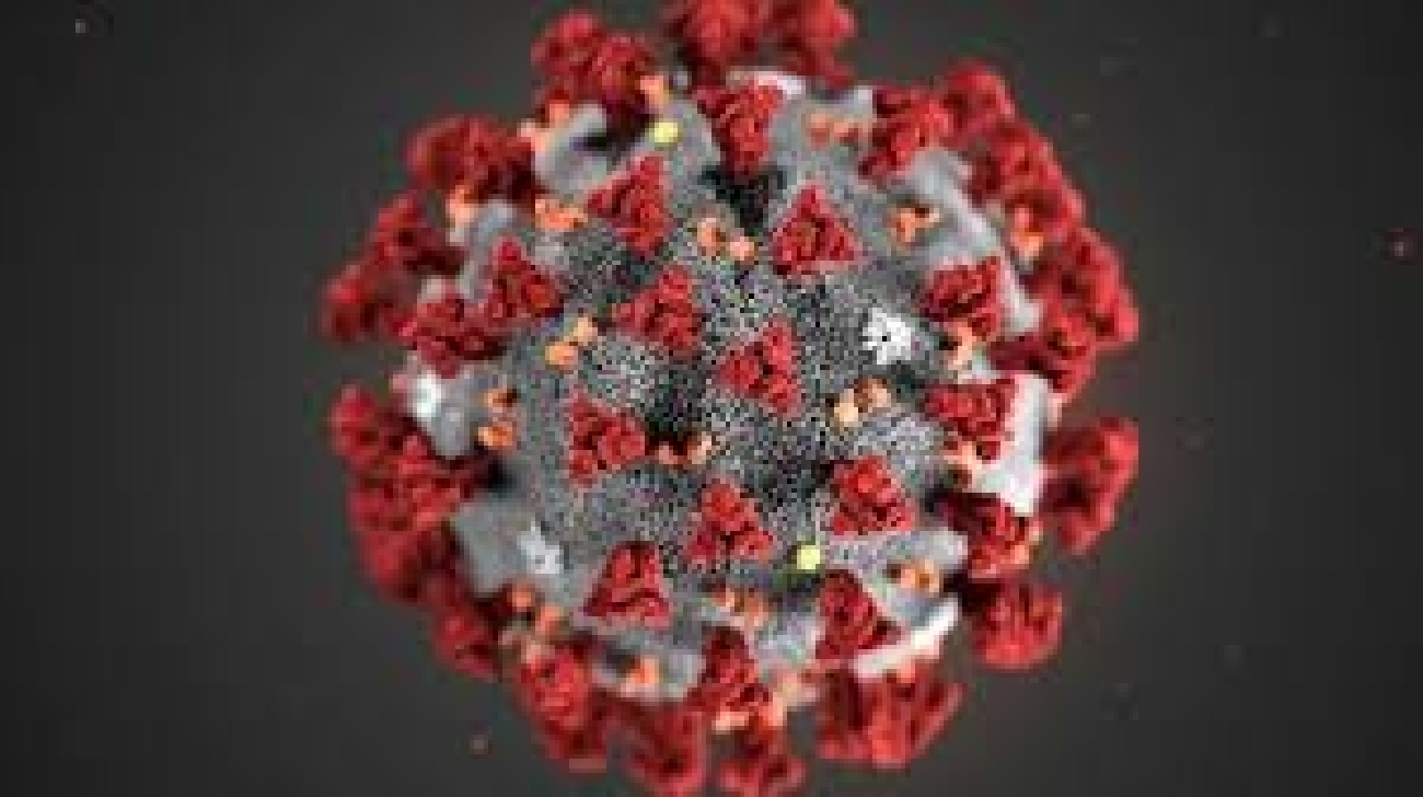 Aggiornamento Circolare Ministeriale: Potenziali casi di coronavirus e relativa gestione
