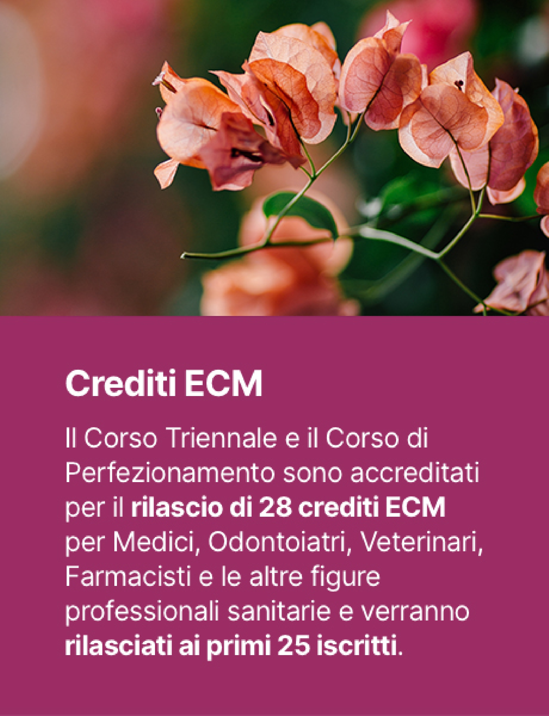 Attività Anno Accademico 2025-2026 della Scuola di Medicina Omeopatica di Verona - ORDINE DEI MEDICI 